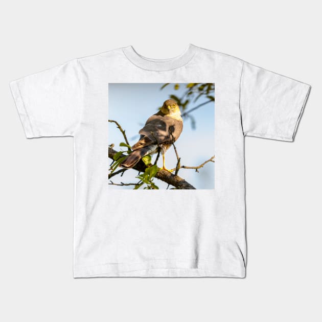 Eurasian sparrowhawk, Accipiter nisus Kids T-Shirt by GrahamPrentice